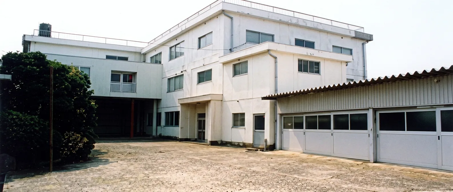1999年3月 1
